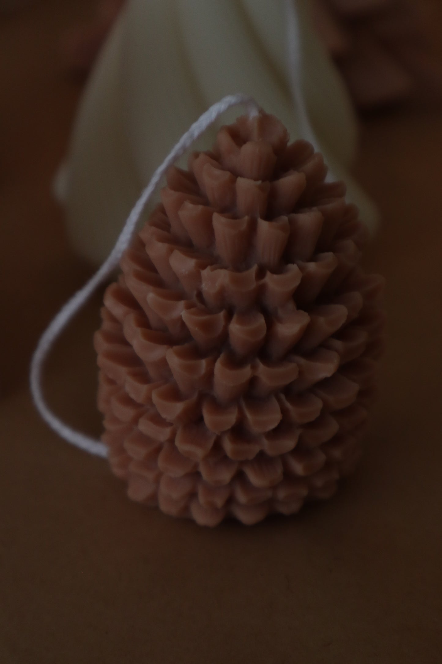 Pine Cone