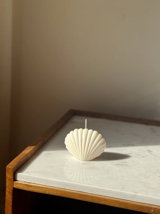 Shell Candle